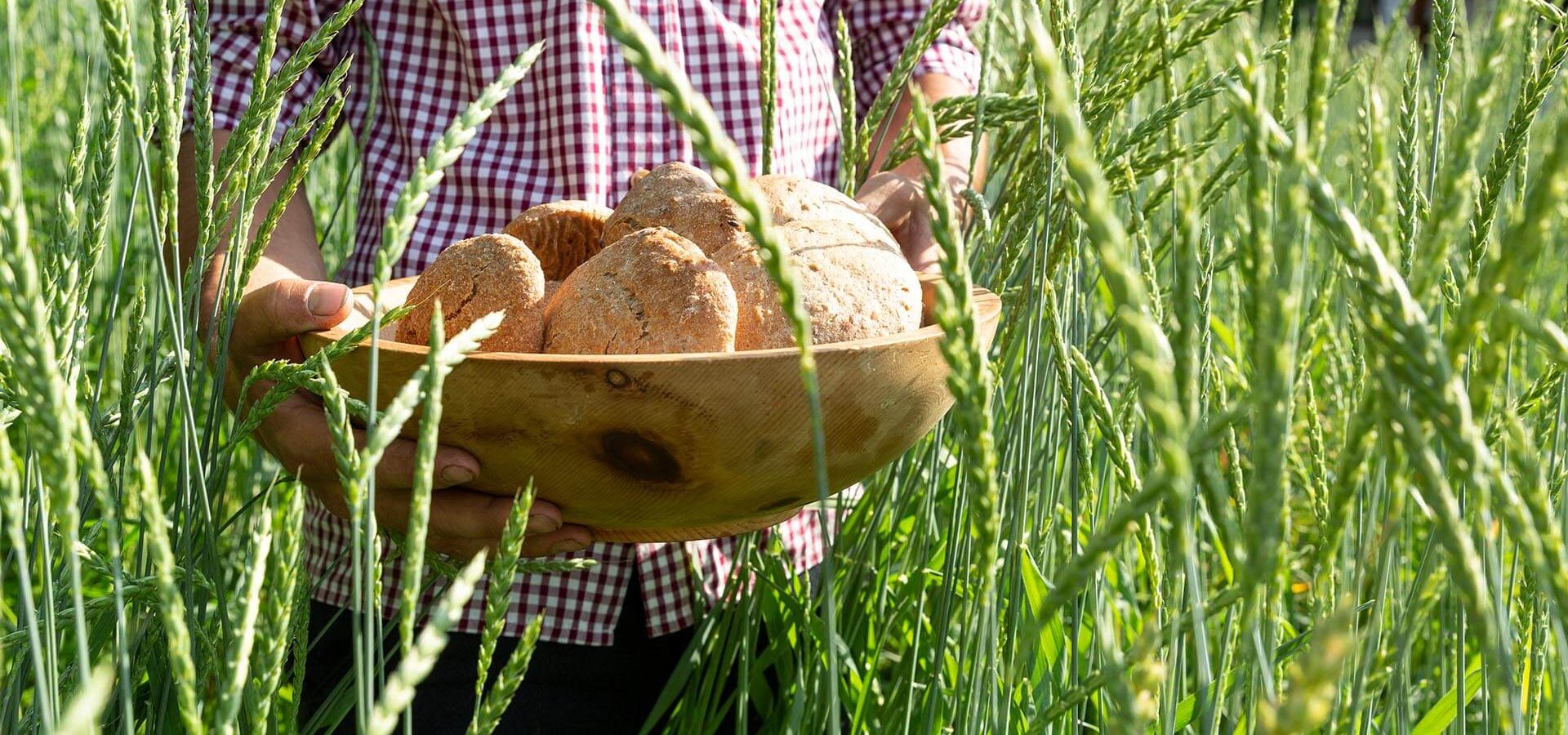 Gesunde Bioprodukte