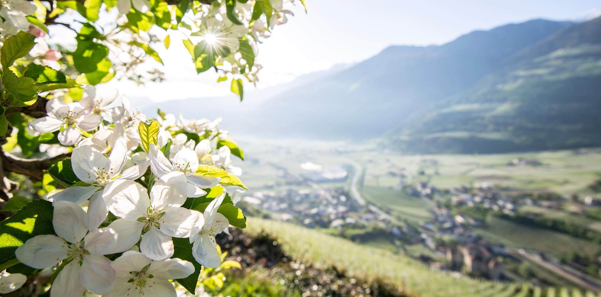 Spring in the Isarco Valley