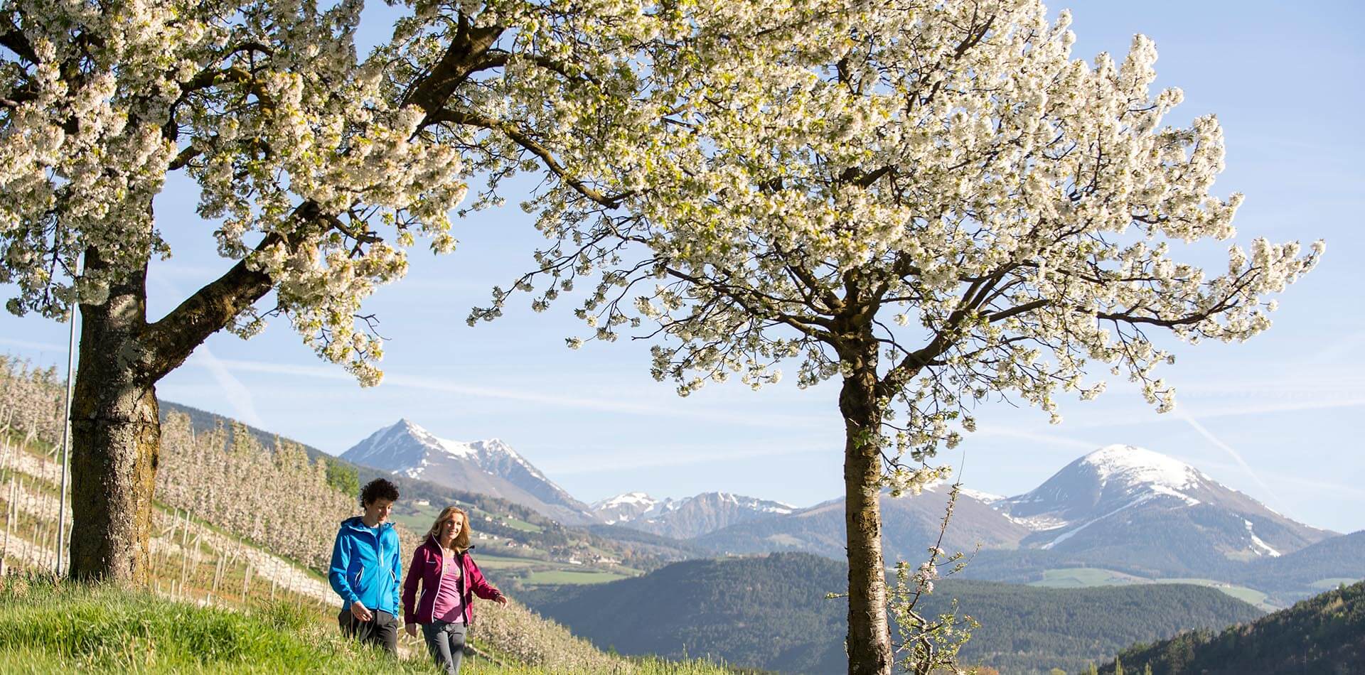 Spring in the Isarco Valley