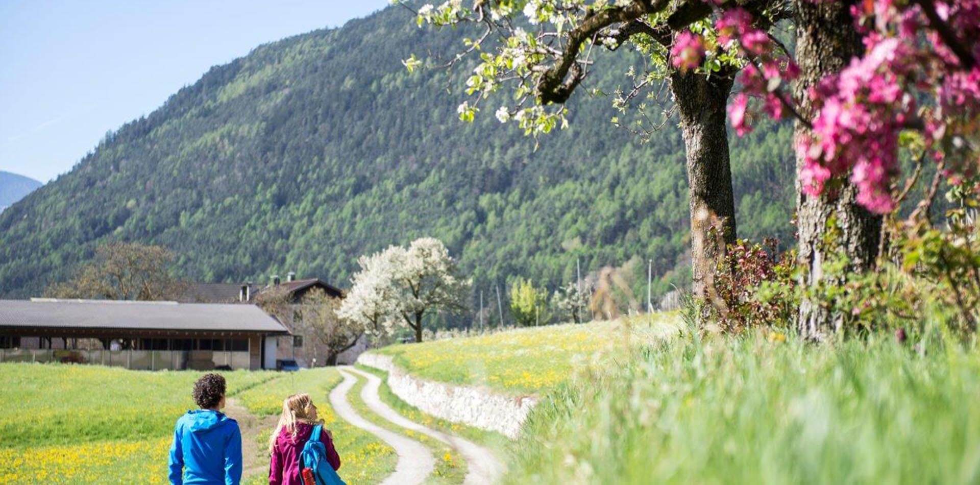 Spring in the Isarco Valley