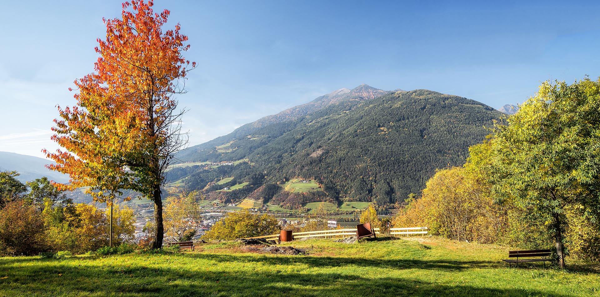 Autumn in the Isarco Valley in South Tyrol