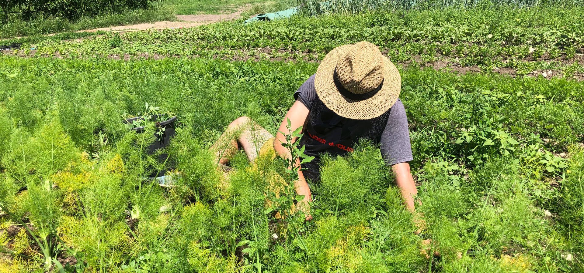 Hofladen Bioprodukte Demeter Südtirol