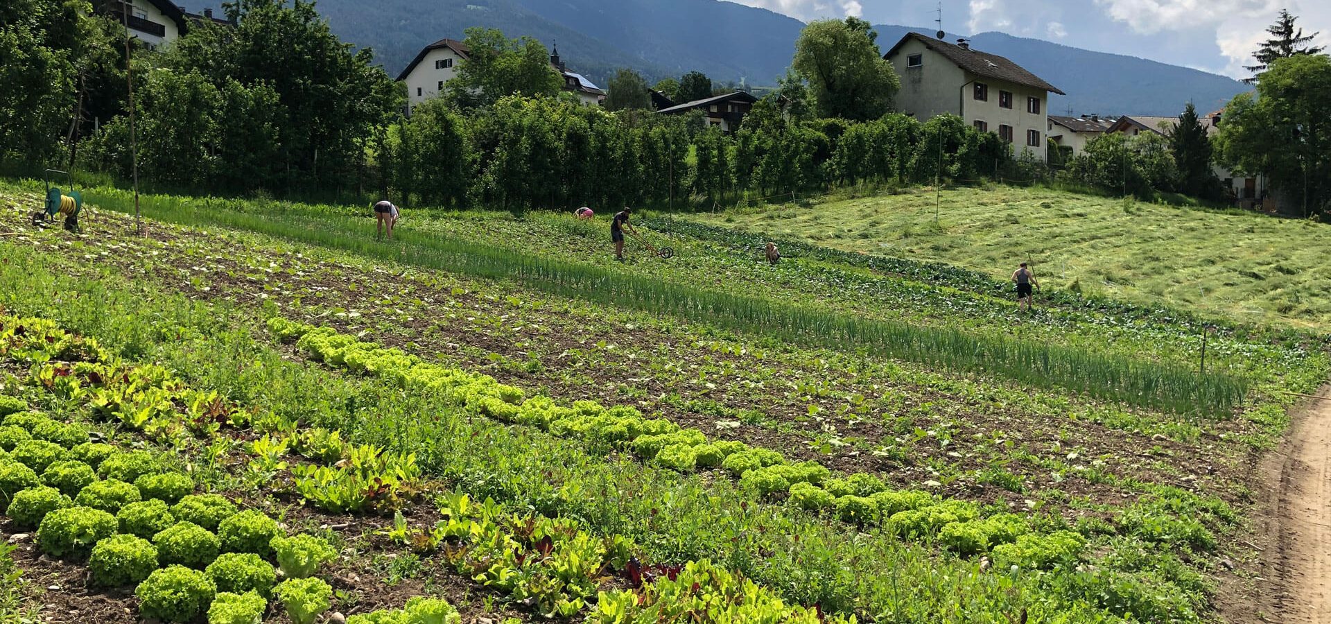 Hofladen Bioprodukte Demeter Südtirol