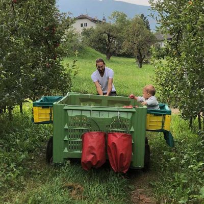 Matthias mit Sohn beim Apfelernten