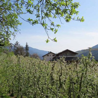 bildergalerie-marxenhof-suedtirol-brixen