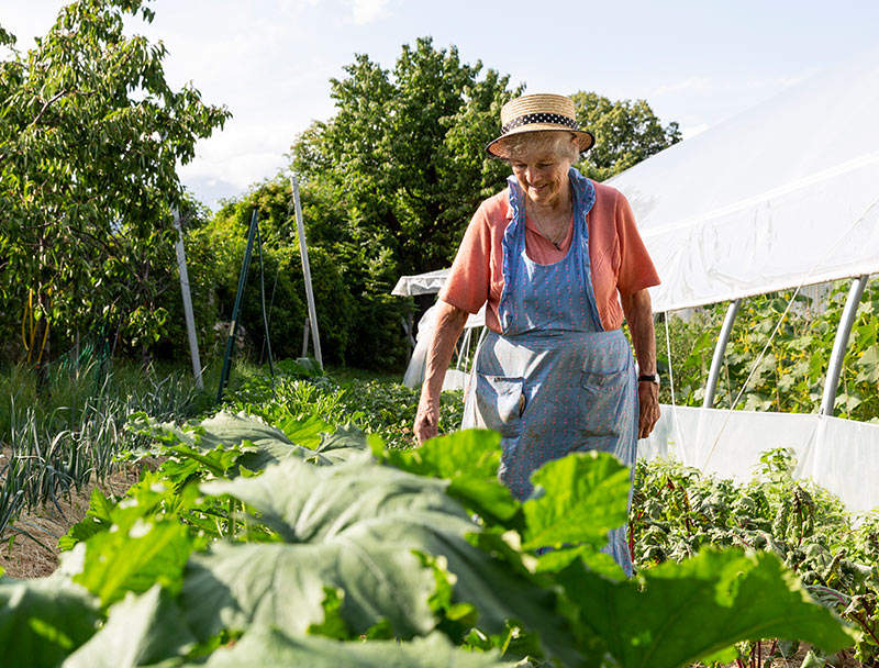 ökologischen Anbau von Bioprodukten