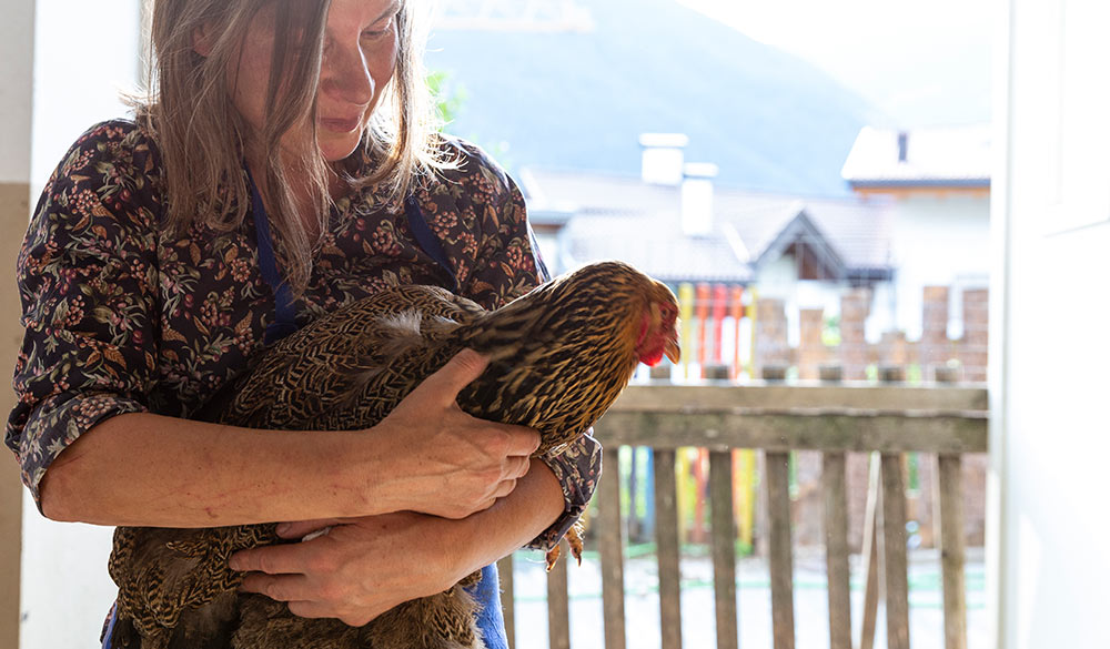 Vacanza in un maso biologico in Alto Adige